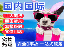 张家界航空托运国际宠物托运 【国